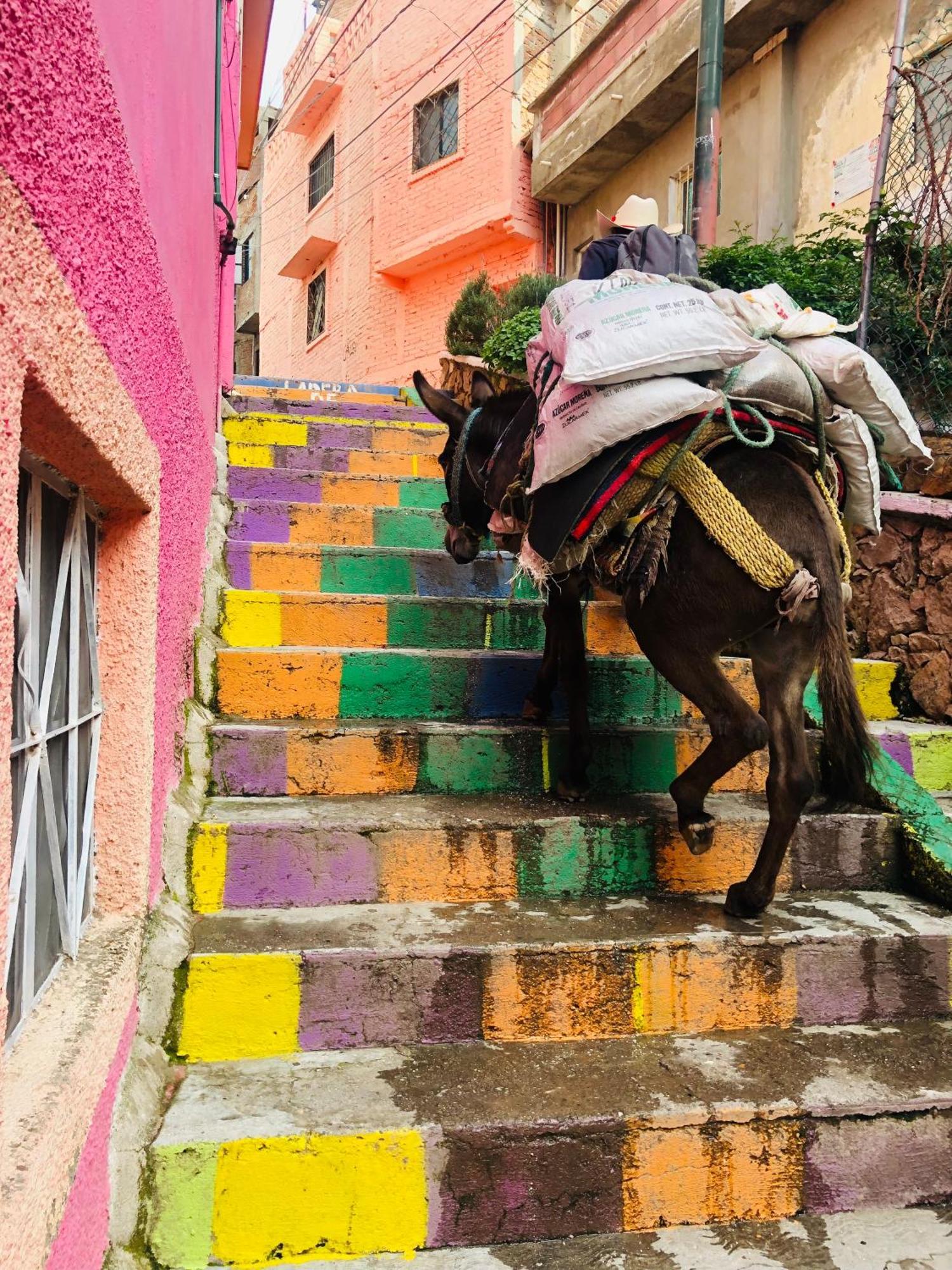 Home Sweet Home Guanajuato Eksteriør bilde